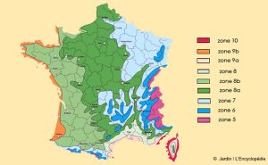 carte-rusticite-france-173242-300x185 Zones climatiques